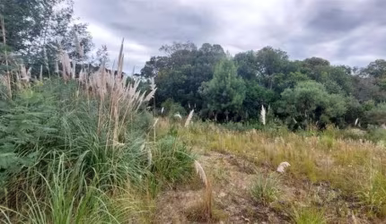 Terreno à venda no São Luiz, Caxias do Sul , 372 m2 por R$ 170.500