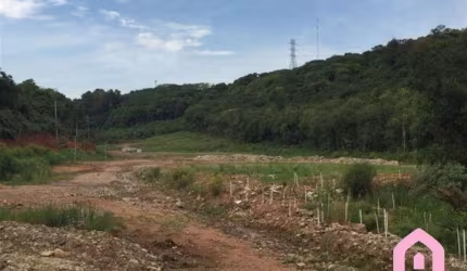 Terreno à venda no Linha 40, Caxias do Sul , 18390 m2 por R$ 2.500.000