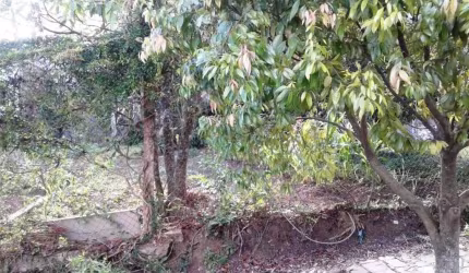 Terreno à venda no Salgado Filho, Caxias do Sul , 338 m2 por R$ 300.000