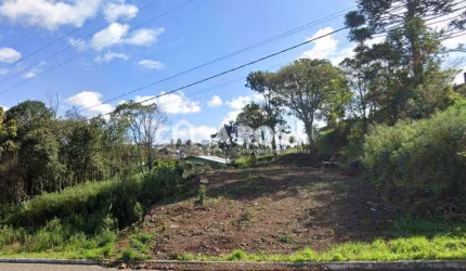 Terreno à venda no Santa Catarina, Farroupilha  por R$ 213.000