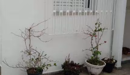 Sobrado à venda, 72 m² por R$ 1.500.000,00 - Freguesia do Ó - São Paulo/SP
