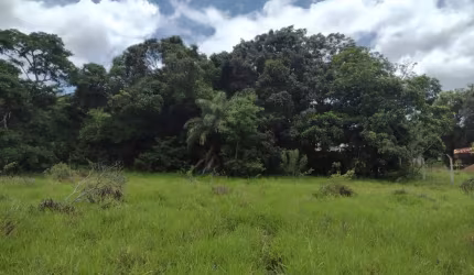TERRENO COMERCIAL BAIRRO LAPINHA