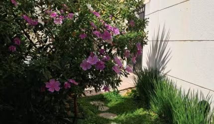 Apartamento à venda em São Paulo-SP, Parada Inglesa: 3 quartos, 1 suíte,  2 vagas de garagem, 78m²