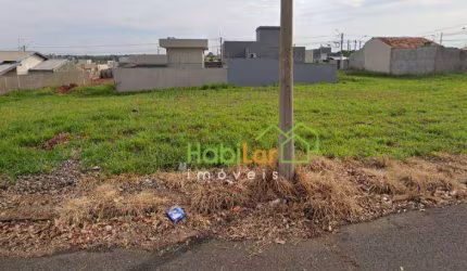 Terreno à venda, 220 m² por R$ 80.000 - Borboleta II - Bady Bassitt/SP