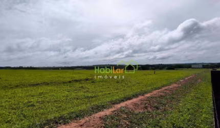 Área à venda, 20000 m² por R$ 4.500.000,00 - Cedral - Cedral/SP