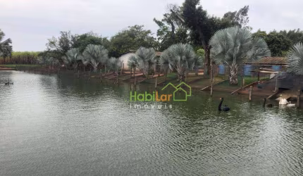 Sítio à venda, 84700 m² por R$ 3.500.000,00 - Zona Rural - Bady Bassitt/SP