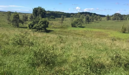Fazenda para Venda em Araruama, Centro (Morro Grande)