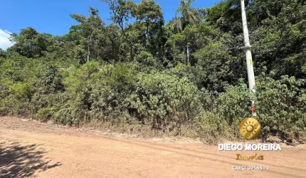 Terreno à Venda em Terra Preta - Oportunidade Única!