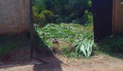 Terreno á venda em Terra Preta