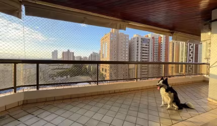 Oportunidade Única: Apartamento no Centro de Ribeirão!