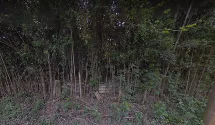 TERRENO DE 156.710m², Ótimo para construtoras que desejam investir em casas populares, ou outros.