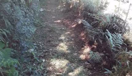Fazenda à venda no Embu Guaçu