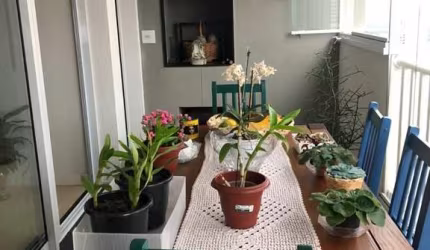 Apartamento à venda - GOOD LIFE ACLIMAÇÃO