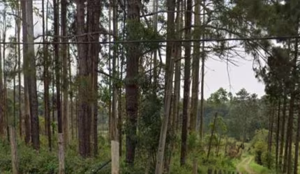 Excelente terreno de 54.330 m² a venda . Embu-Guaçu - SP