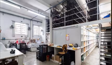 Prédio Comercial em Vila Nova Manchester