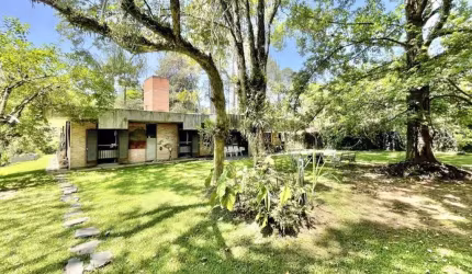 Casa Térrea -  Contemporânea