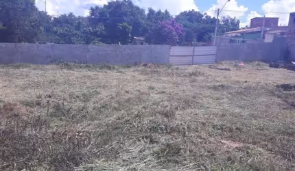Área de 10.250 m2 no Mineirão com projeto aprovado