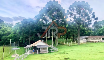 Chácara / sítio com 3 quartos à venda em Campestre, Contenda  por R$ 2.500.000