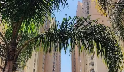 Apartamento em Vila Santo Antônio  -  Guarulhos