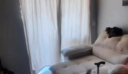 Apartamento em Vila Guilherme  -  São Paulo