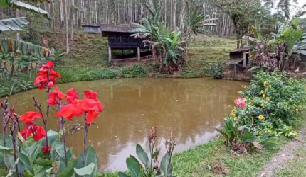 Chácara / sítio com 5 quartos à venda na Rua Emílio Hardt, --, Rio Bonito (Pirabeiraba), Joinville por R$ 5.000.000