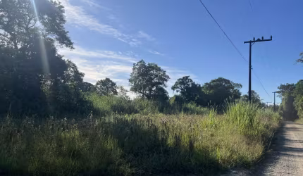 Chácara para Venda em Joinville, Pirabeiraba