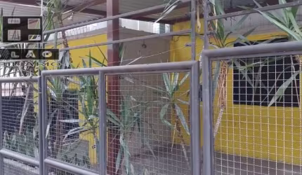 Casa comercial com 3 salas à venda na Rua Rio de Janeiro, 1444, Lourdes, Belo Horizonte por R$ 5.000.000