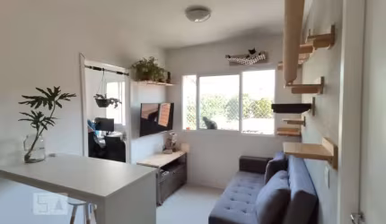 Apartamento à Venda - Cambuci, 2 Quartos,  33 m2
