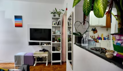 Apartamento à Venda - Bom Retiro, 1 Quarto,  42 m2