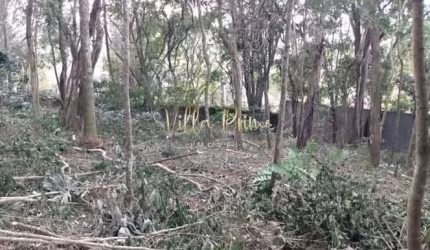 Área, Santa Luzia, Ribeirão Pires - R$ 650 mil, Cod: 234