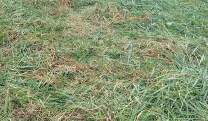 TERRENO PARA LOCAÇÃO NO JARDIM PIAZZA DI ROMA - SOROCABA/SP