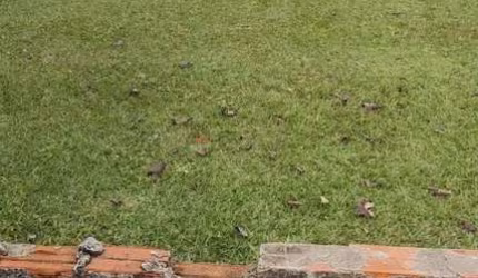 TERRENO EM CONDOMÍNIO À VENDA NO PORTAL DA PRIMAVERA - SOROCABA/SP