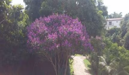 CHACARA À VENDA NO JARDIM DO SOL - SOROCABA/SP
