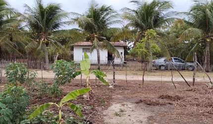 Terreno à Venda - Massaranduba - Ceará-Mirim/RN