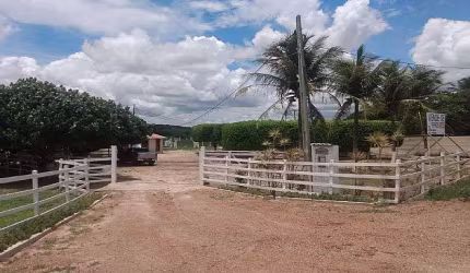 Granja/Fazenda à Venda - Centro - Brejinho/RN