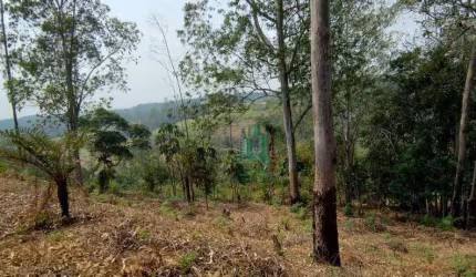 Terreno à venda, 3500 m² por R$ 276.000,00 - Jardim Planalto - Arujá/SP