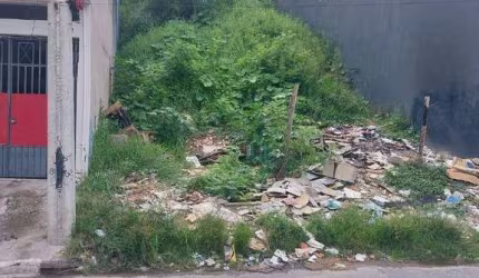 Terreno à venda, 125 m² por R$ 140.000,00 - Parque Mikail - Guarulhos/SP