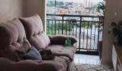 Apartamento com 2 dormitórios à venda, 61 m² por R$ 530.000,00 - Itaberaba - São Paulo/SP