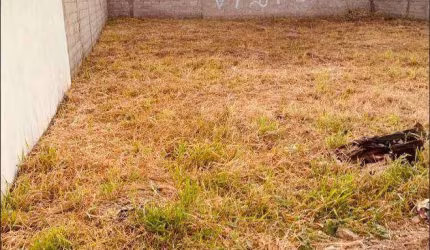 Terreno à venda, 375 m² por R$ 480.000,00 - Jardim IV Centenário - Guarulhos/SP