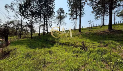 Terreno Vitoria Regia - 1190M2