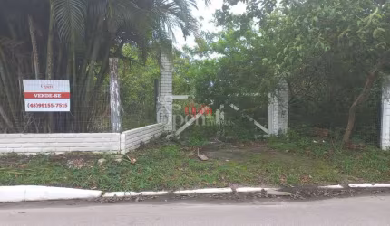OPORTUNIDADE PARA EMPREENDIMENTO EM CANASVIEIRAS - FLORIAÓPOLIS/SC