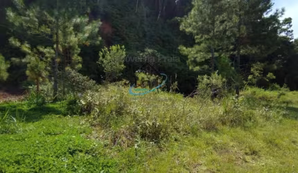Terreno para Venda em Caraguatatuba, Capricórnio III
