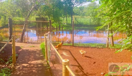 Chácara para Venda em Jardinópolis, Juruce, 2 dormitórios, 1 suíte, 4 banheiros, 10 vagas
