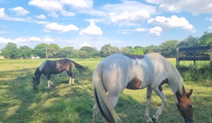 Chácara no Condomínio Santa Filomena em Salto, ideal para cavalos e pequenos cultivos, além de um amplo espaço para seu descanso e lazer