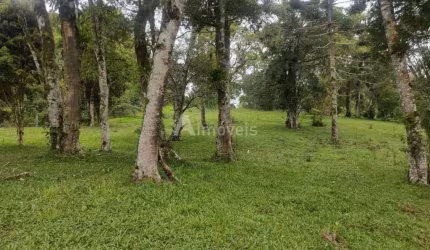 Lote em Campo Alegre Oportunidade