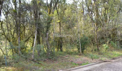 TERRENO À VENDA, 450 M²  - VIVENDAS DO ARVOREDO - GRAMADO/RS, Vivendas do Arvoredo, Gramado - RS