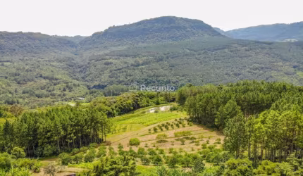 ÁREA DE 196.800 NO LINHA QUILOMBO EM GRAMADO, Linha 28, Gramado - RS