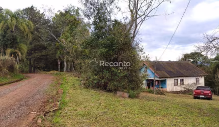 ÁREA COM 44.535,00 M² NA LINHA ARARIPE , Araripe  , Gramado - RS
