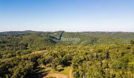AREA DE TERRAS PARA CONSTUÇÃO DE HOTEL FAZENDA, tres coroas, Tres Coroas - RS