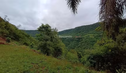 SÍTIO NO INTERIOR DE GRAMADO COM 30.200 M², Pedra Branca da Linha Furna, Gramado - RS